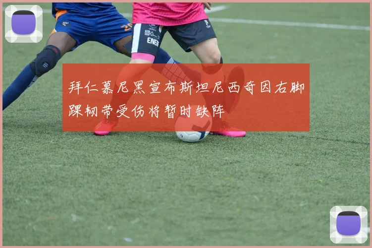 拜仁慕尼黑宣布斯坦尼西奇因右脚踝韧带受伤将暂时缺阵