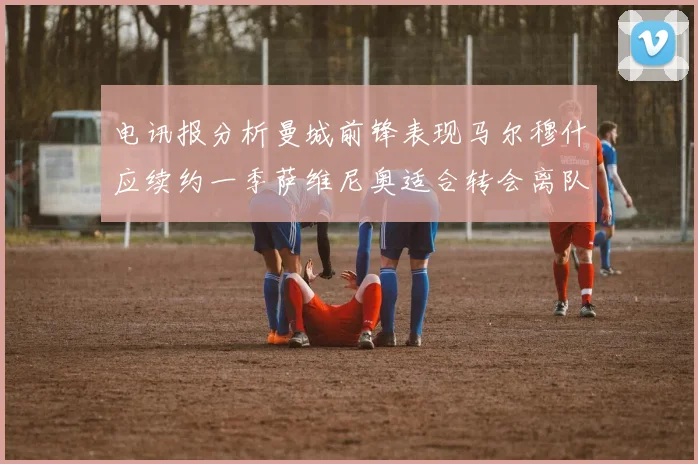 电讯报分析曼城前锋表现马尔穆什应续约一季萨维尼奥适合转会离队